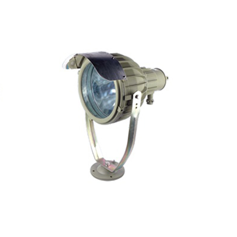 BSD4 series Explosion-proof project lamp